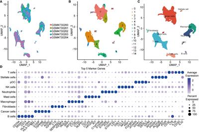 Single-cell sequencing and establishment of an 8-gene prognostic model for pancreatic cancer patients